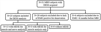 Quantitative double echo steady state T2 mapping of upper extremity peripheral nerves and muscles